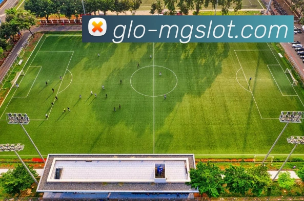 MG电子官网平台生态图