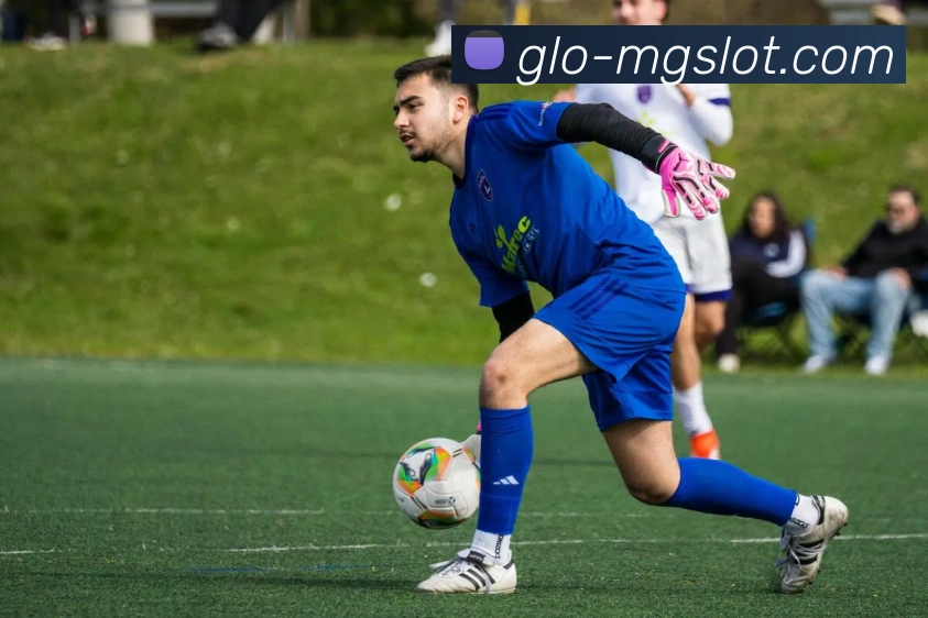 MG电子官网APP 封面图